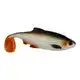 Ricky The Roach SL/ST 14 cm - Pink Headlight