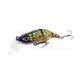 Little Temptation Speckled Fire Tiger