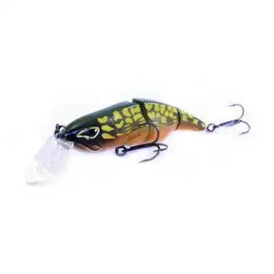Little Temptation Speckled Fire Tiger