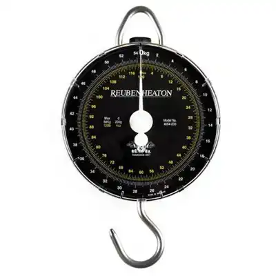 Standard Scale