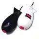 Spomb Wit - Large