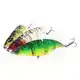 Fatal Attraction Speckled Orange Perch