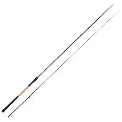 Blackthorne Pro C-Feeder Specimen 3,60 meter - 40 tot 100 gram