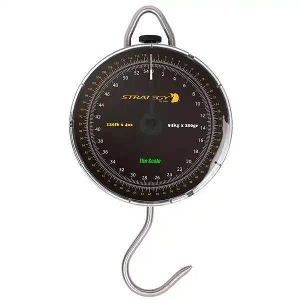 The Scale
