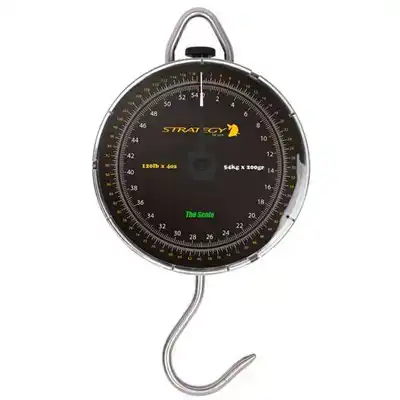 The Scale