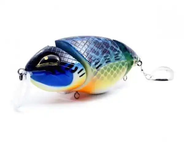 Loki Speckled Fire Tiger
