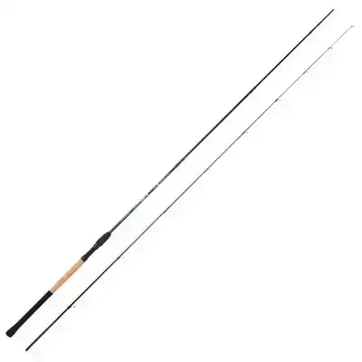 Blackthorne Pro C Float Power 3,60 m - 5 tot 20 gram