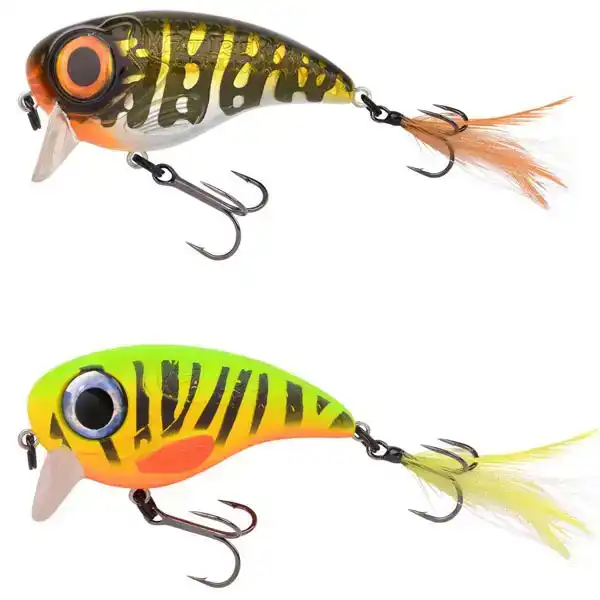 Fat Iris 6 cm - Fire Tiger