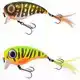 Fat Iris 6 cm - Fire Tiger