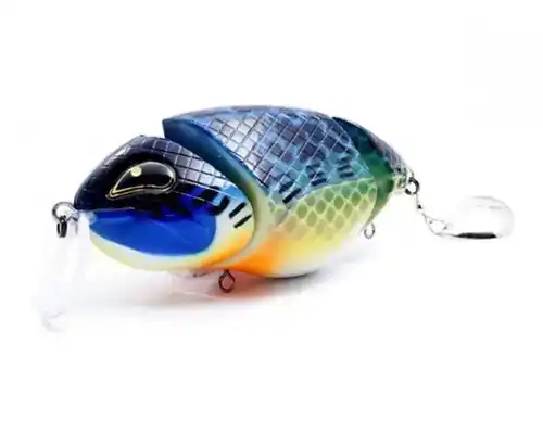 Loki Speckled Blue Gill