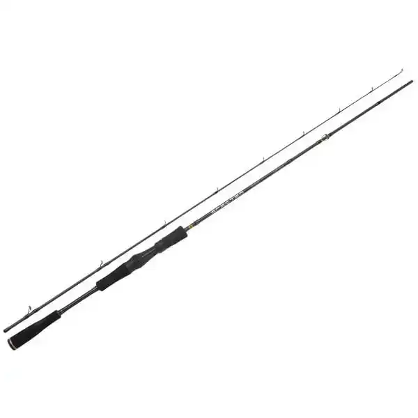 Specter Finesse Casting - Heavy 2,00 m - 30 tot 75 gram