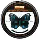 Ghost Butterfly 27 lb - 20 meter