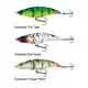 Fatal Attraction Speckled Orange Perch
