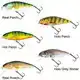 Perch Floating - 8 cm - Holo Perch
