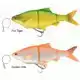 3D Line Thru Roach 18 cm - Moderate Sink - Fire Tiger