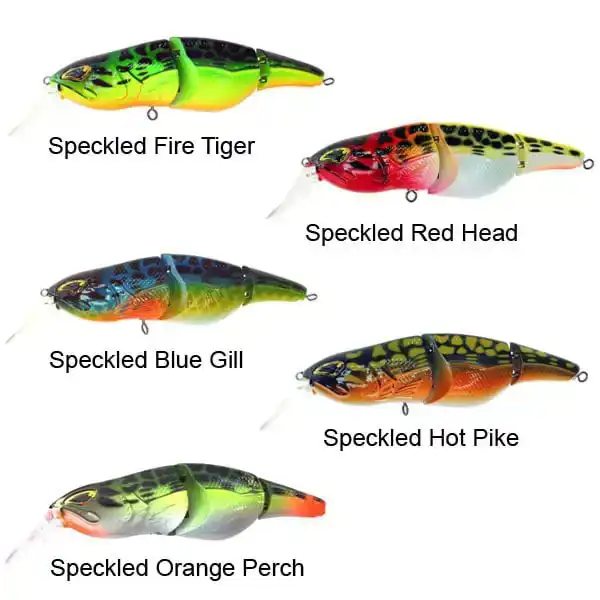 Little Temptation Speckled Fire Tiger