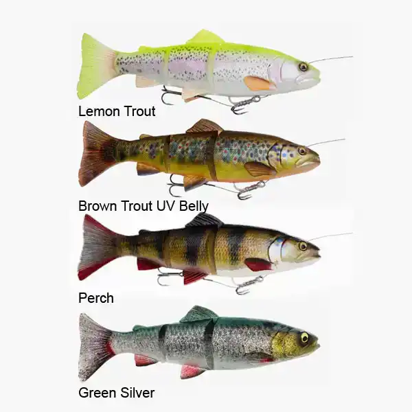 4D Line Thru Trout 25 cm - Moderate Sink - Dark Brown Trout