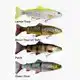 4D Line Thru Trout 25 cm - Moderate Sink - Dark Brown Trout