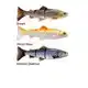 4D Line Thru Trout 25 cm - Moderate Sink - Dark Brown Trout